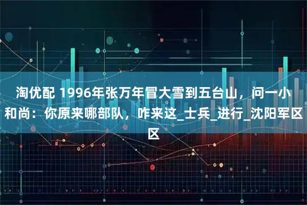 淘优配 1996年张万年冒大雪到五台山，问一小和尚：你原来哪部队，咋来这_士兵_进行_沈阳军区