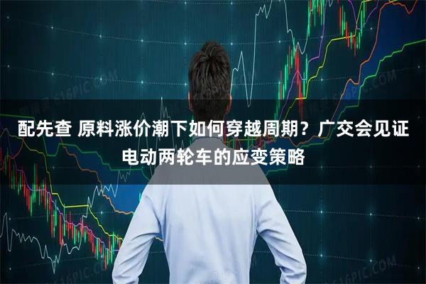 配先查 原料涨价潮下如何穿越周期？广交会见证电动两轮车的应变策略