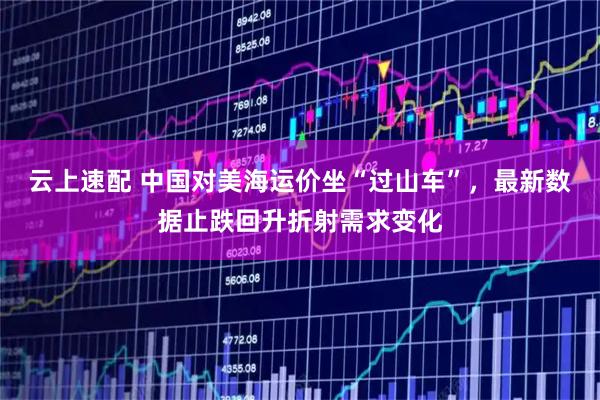 云上速配 中国对美海运价坐“过山车”，最新数据止跌回升折射需求变化