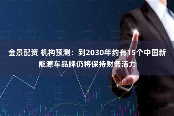 金景配资 机构预测：到2030年约有15个中国新能源车品牌仍将保持财务活力