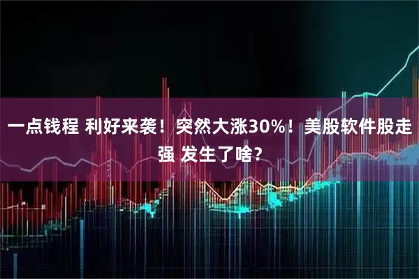 一点钱程 利好来袭！突然大涨30%！美股软件股走强 发生了啥？