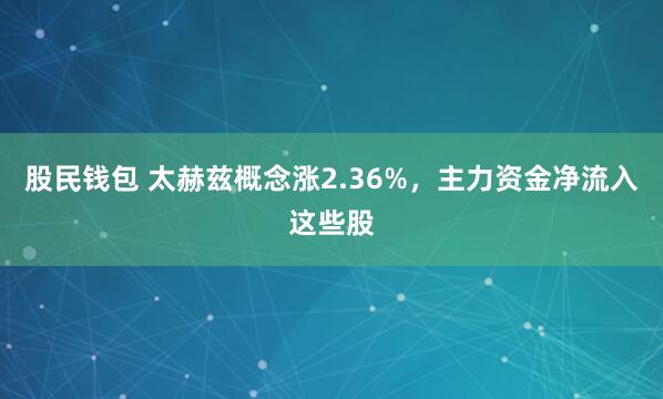 股民钱包 太赫兹概念涨2.36%，主力资金净流入这些股