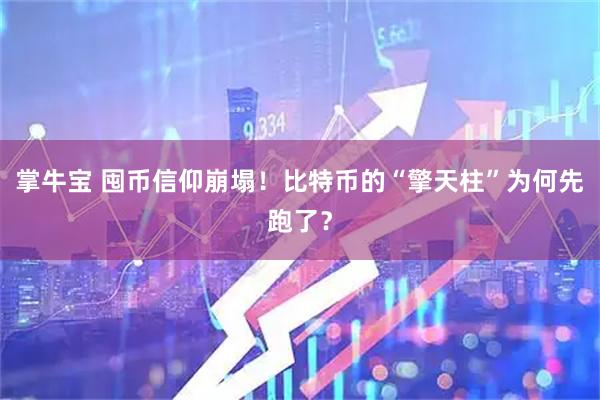 掌牛宝 囤币信仰崩塌！比特币的“擎天柱”为何先跑了？
